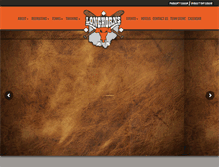 Tablet Screenshot of ohiolonghornsbaseball.com